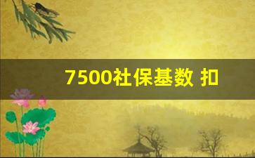 7500社保基数 扣多少_公司按7500基数交五险一金